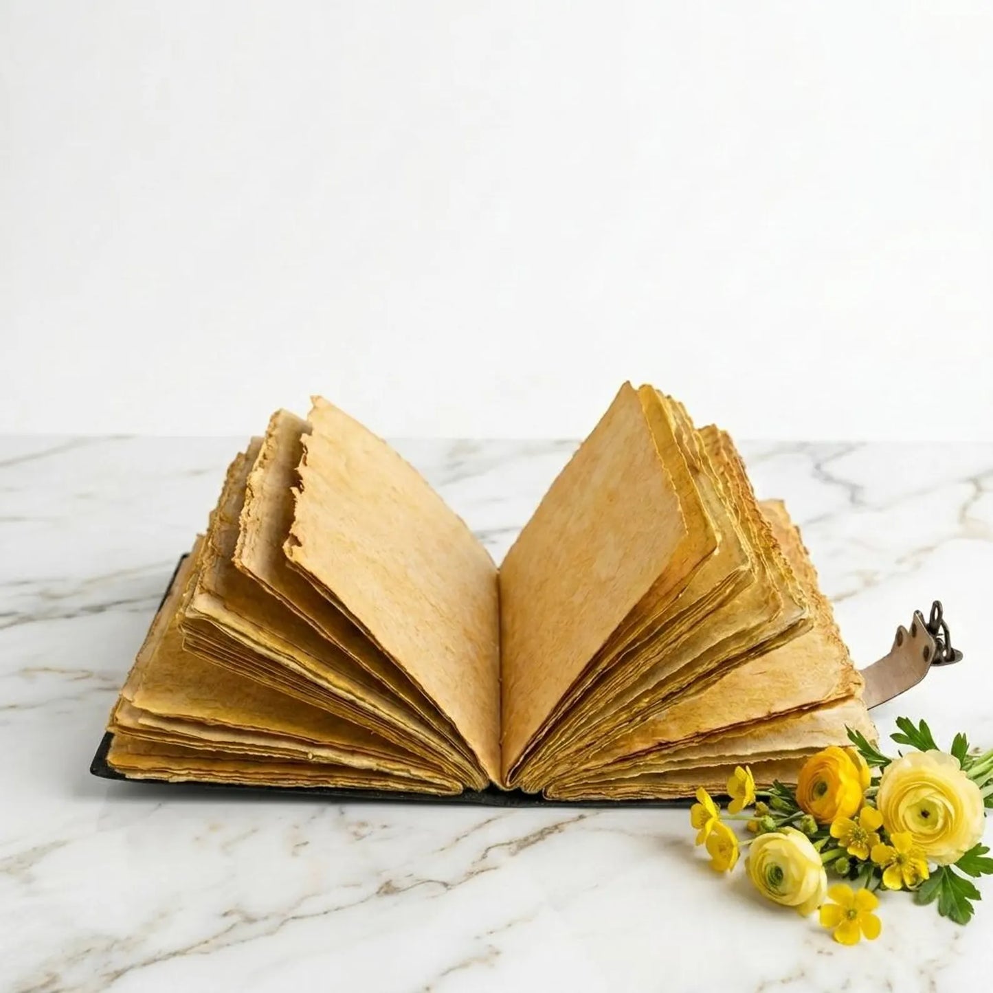 Sea Otter Leather Journal