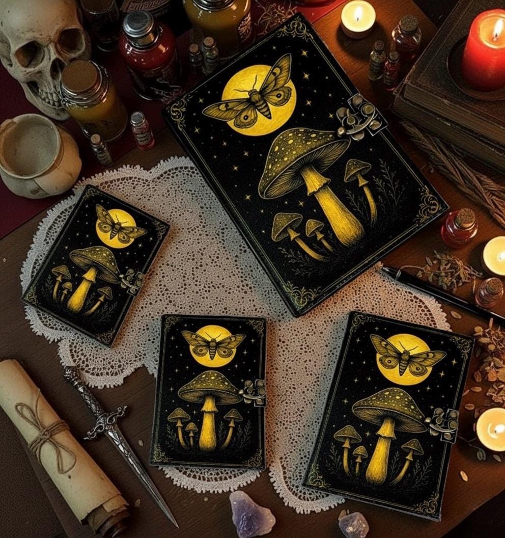 Mushroom Leather Journal, Fairy Luna Moth With Moon Grimoire Notebook, Witchcraft Book Spell Book of Shadows Gifts for Women