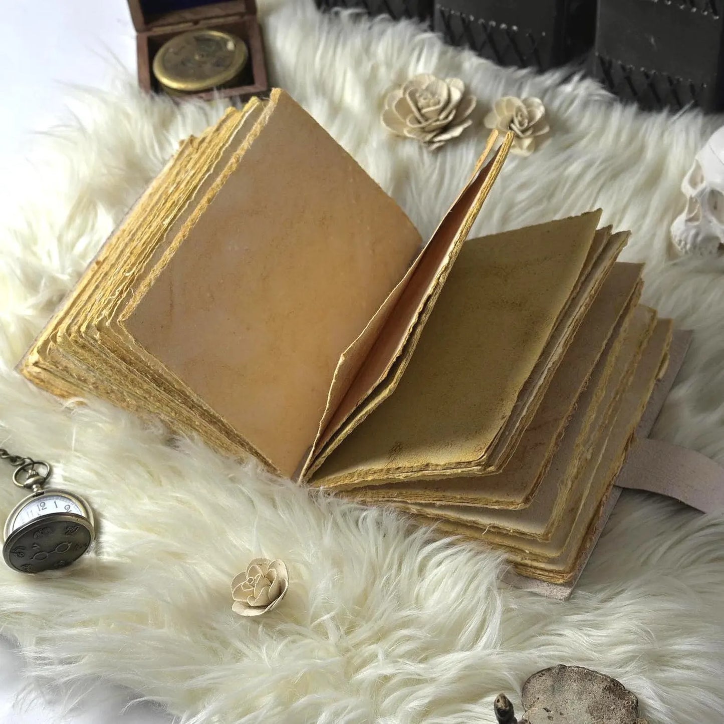 Parrot leather journal Book of shadows grimoire